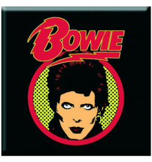 DAVID BOWIE - FLASH LOGO